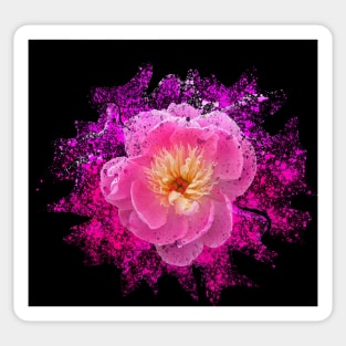 Chinese peony with paint splatter effect Sticker